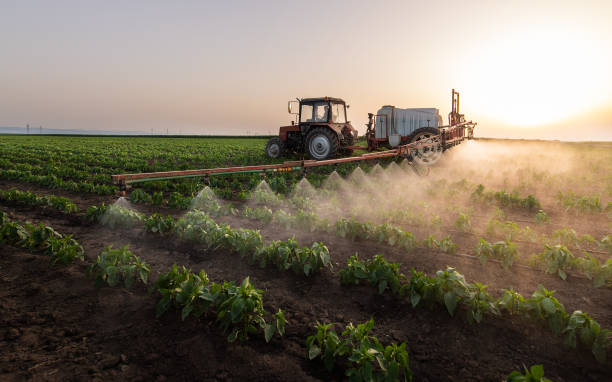 Pest Control Cost in Countryside, VA