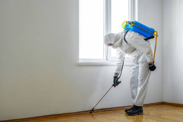 Flea Control Services in Countryside, VA