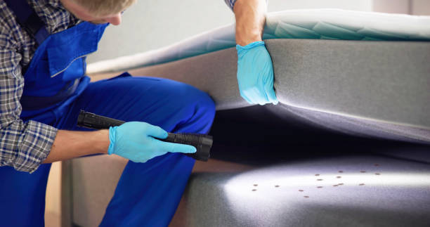 Best Best Pest Control Companies  in Countryside, VA