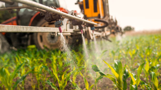 Best Ant Control Services  in Countryside, VA